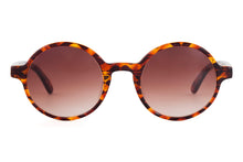 Load image into Gallery viewer, M2005 Sunglasses - Paul Taylor Eyewear