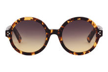 Load image into Gallery viewer, M2010 Sunglasses SALE - Paul Taylor Eyewear