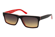 Load image into Gallery viewer, Swarve Sunglasses - Paul Taylor Eyewear