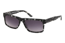 Load image into Gallery viewer, Swarve Sunglasses - Paul Taylor Eyewear