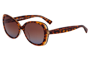 M55 Chocolate Amber Tortoiseshell