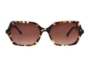M6 Razzle Dazzle Tortoiseshell
