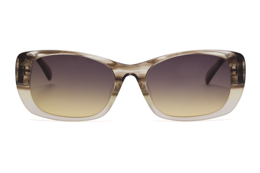 Mohlee Sunglasses SALE - Paul Taylor Eyewear 