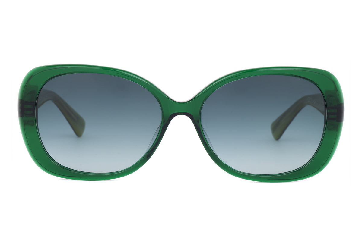 Cecelia Sunglasses - Paul Taylor Eyewear 